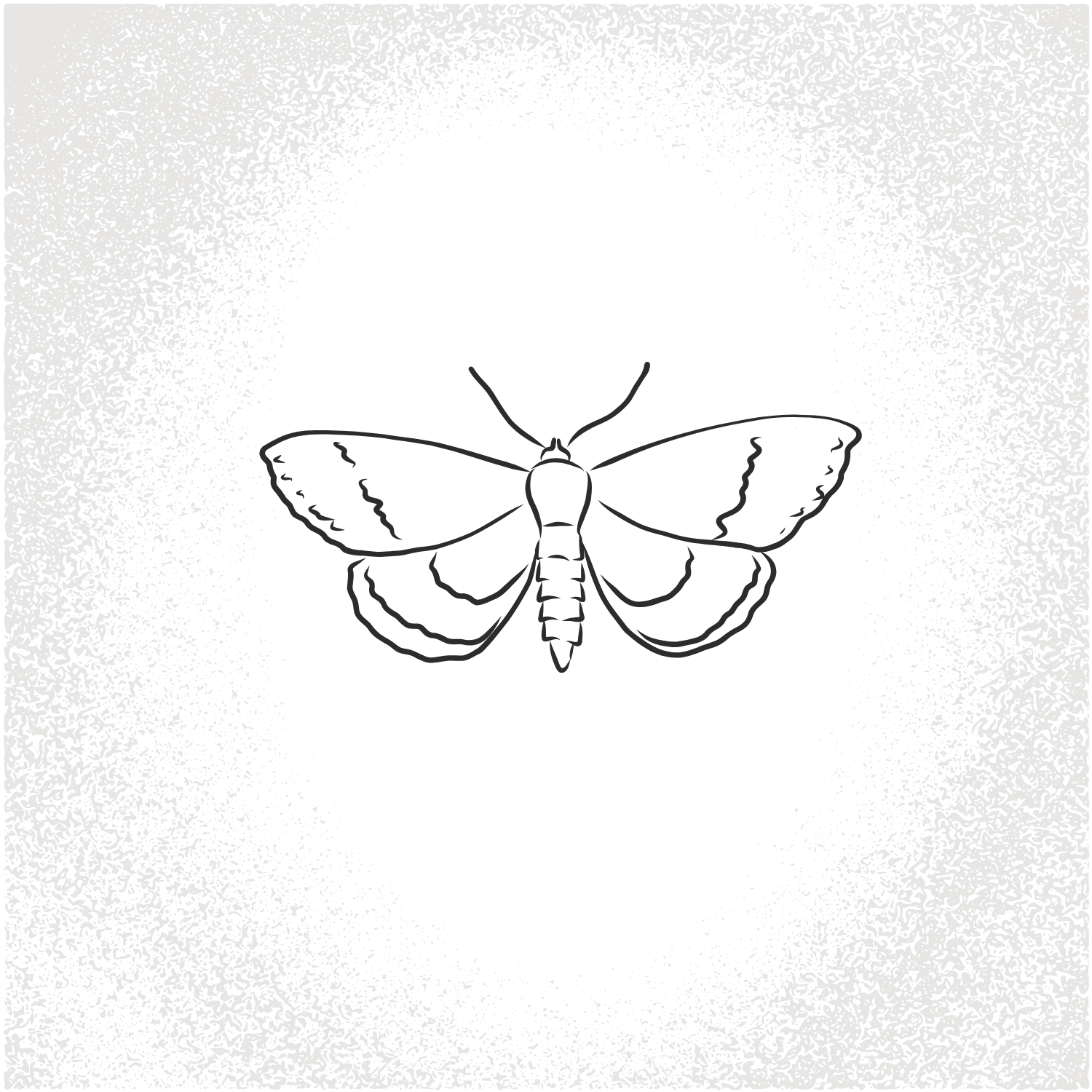 moth in vignette