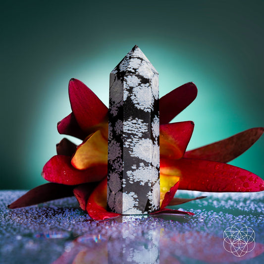 Snowflake Obsidian Protection Point