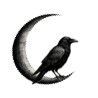 Shadow and Spirit, LLC